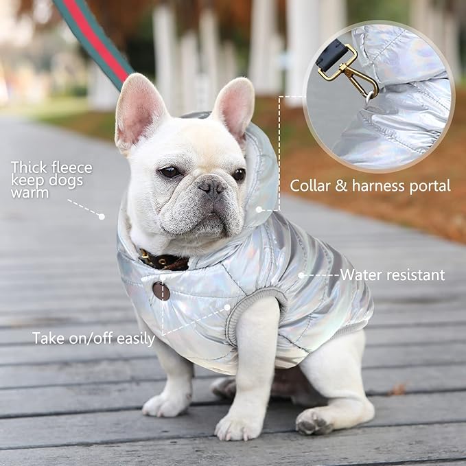 Windproof Waterproof Dog Coat Fleece & Cotton Lined Warm Jacket, Cold Weather Pet Apparel Clothes Vest for Small Medium Large Dog (XL, Silver)