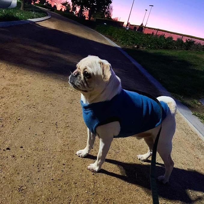 Gooby Stretch Fleece Vest Dog Sweater - Steel Blue, Large - Warm Pullover Super Stretchy Fleece Dog Jacket for Small to Large Dogs