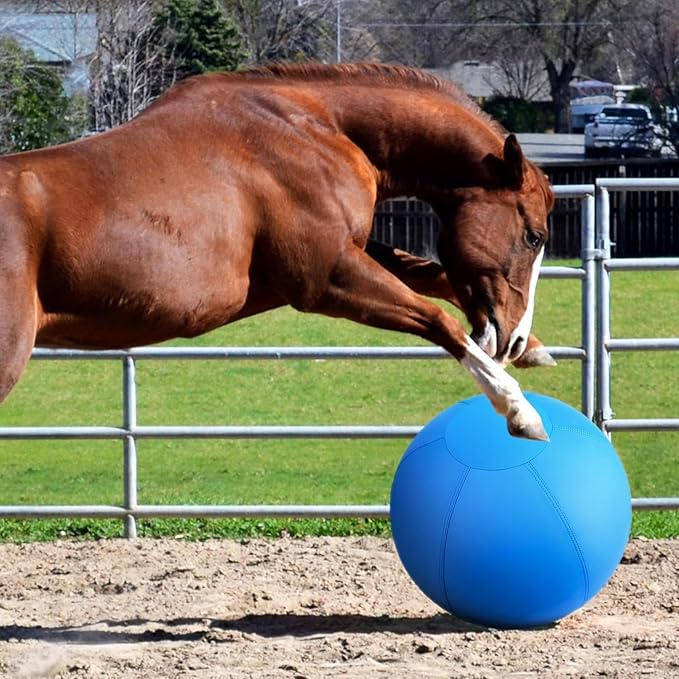 Herding Ball for Dogs- 25" Dog Herding Ball for Dogs/Horse, Dog Agility Equipment for Australian/German Shepherd Collie, Toys for Christmas/Birthday Gifts, Blue