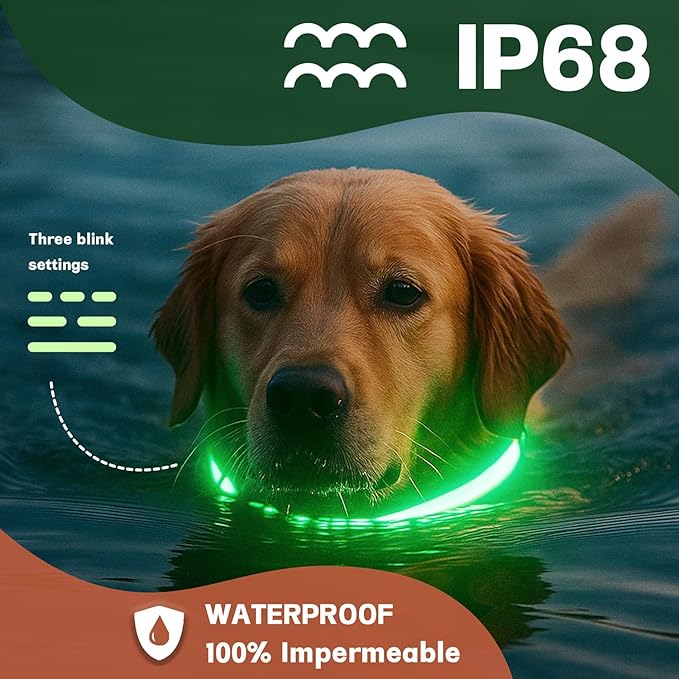 DOGWONG LED Dog Collar - Heavy Duty Light up Collars - Rechargeable Waterproof - Lighted Dog Collar for Night Walking, Hiking, Camping(White,L)