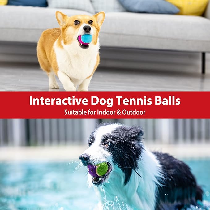 Gigwi Tennis Balls for Dogs, Squeaky Dog Tennis Balls for Exercise, High Bouncy Pet Ball Bright Colors 2.5 Inches, Interactive Funny Dog Toys for All Breeds of Dogs Indoor & Outdoor Dog Games, 5 Pack