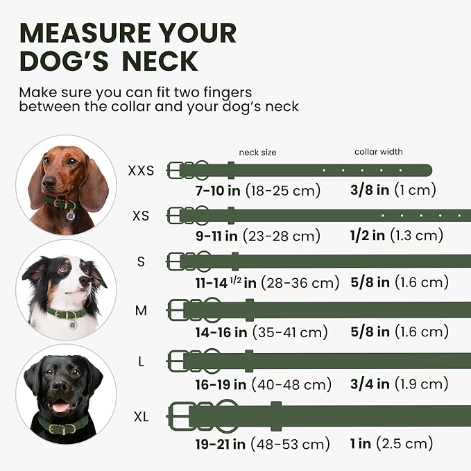 BronzeDog Rolled Leather Dog Collar with QR ID Tag, Adjustable Soft Round Collars for Small Medium Large Dogs Puppy (16" - 19" Neck Size, Emerald Green)