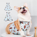 Waterproof Belly Shield for Corgis & Dachshunds – Adjustable underbelly Protector. Male/Female Designs. Stays Dry in rain, mud & Grass. Ideal for Sensitive Skin (Blue - Male, S)