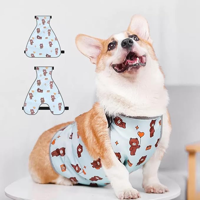 Waterproof Belly Shield for Corgis & Dachshunds – Adjustable underbelly Protector. Male/Female Designs. Stays Dry in rain, mud & Grass. Ideal for Sensitive Skin (Blue - Female, S)