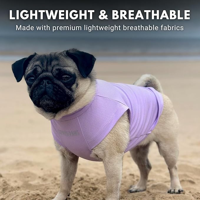 Spark Paws Sunblock Dog T-Shirt, SPF30 Protection, Lightweight Breathable Quick Dry for Dogs with Sensitive Skin - Purple & Peach (Set of 2) - M