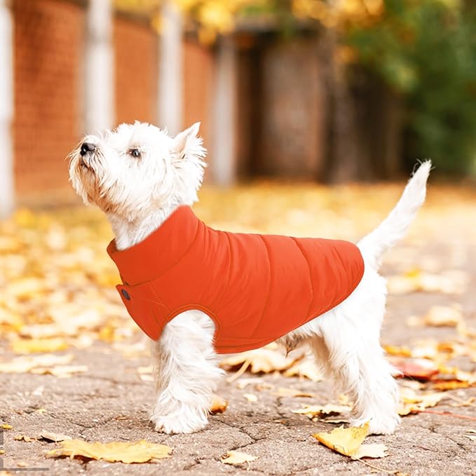 ASENKU Dog Winter Coat - Waterproof Windproof Dog Jacket, Warm Snowproof Doggie Puffer Vest for Cold Weather, Lightweight Snow Coats for Small Medium Large Dogs (Orange, S)