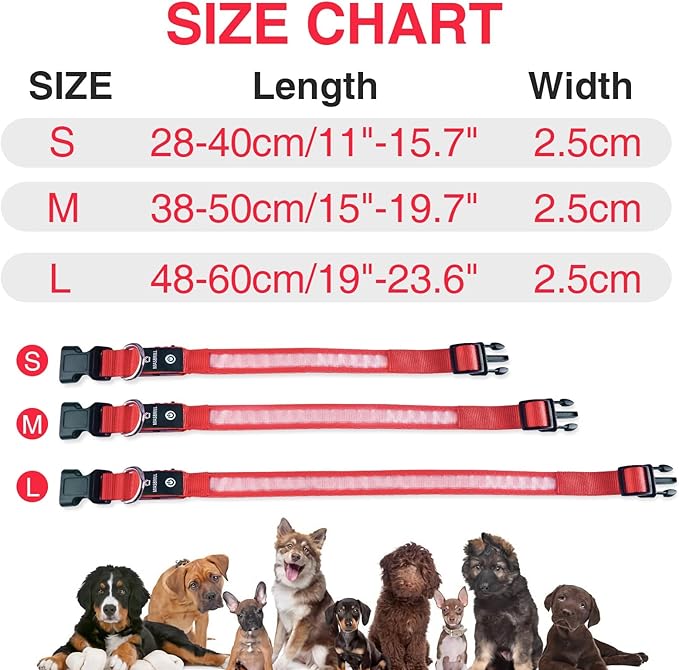 MASBRILL LED Dog Collar - Light Up, Rechargeable, Waterproof, Glow Collar for Small to Large Dogs