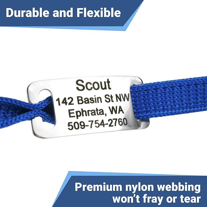 GoTags Personalized Reflective Cat Collars with Tag, Engraved Custom with Name and Phone, Breakaway Collar with Safety Buckle and Bell, Adjustable for Cats and Kitten, (Blue with Nameplate)