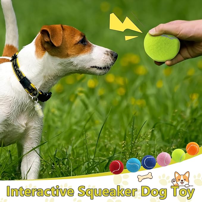 Swingers Squeaky Tennis Balls for Dogs,2.5 inch Training Tennis Balls,Exercise Ball for Pet Dog with Mesh Carry Bag Easy to Transport (Yellow, 6 Pack)