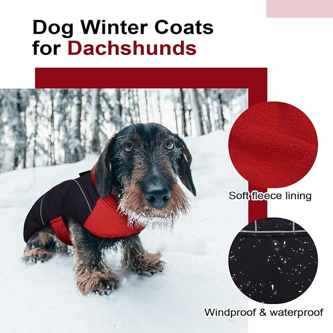 Lelepet Dachshund Coat Warm Dog Winter Coat Waterproof Dog Jacket with Fleece Lining, Reflective Outdoor Dachshund Snowsuit with Leash Hole Adjustable Neckline,Coats for Small Medium Dogs,Red, S