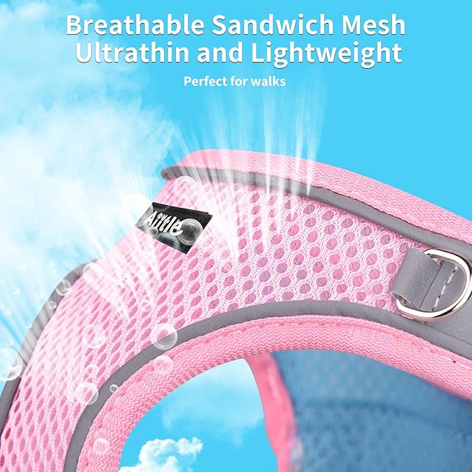 AIITLE Comfortable Dog Harness and Leash Set for Walking - Summer Step in Vest Harness,Reflective Bands, Adjustable No Pull Puppy Essentials, for Small Dogs and House Cats Pink XS