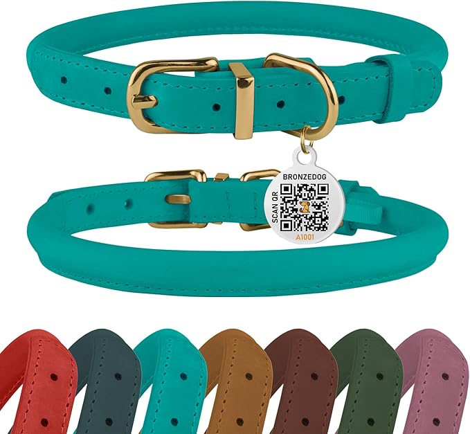 BronzeDog Rolled Leather Dog Collar with QR ID Tag, Adjustable Soft Round Collars for Small Medium Large Dogs Puppy (16" - 19" Neck Size, Turquoise)