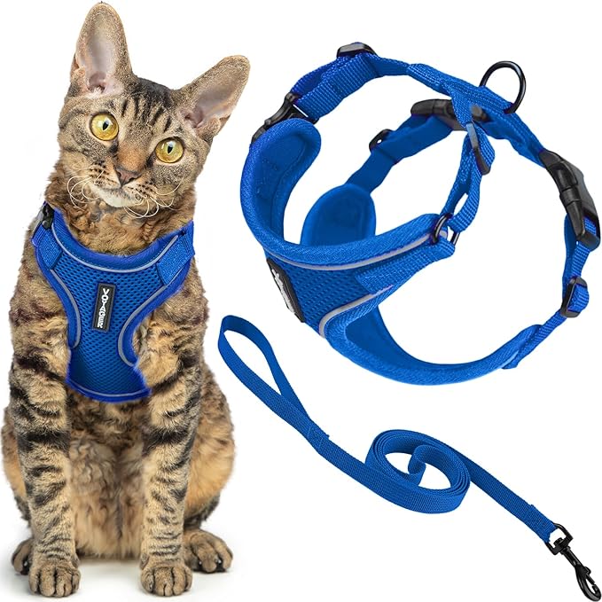 Voyager Escape Proof Cat Harness and Leash Set with Reflective Stitching, Neoprene Handle 5ft - Supports Small, Medium and Large Cats, Kittens for Walking by Best Pet Supplies - Royal Blue, S