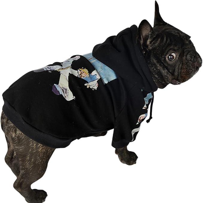 ChoChoCho Woof Dog Hoodie, Designer Dog Hoodies for Small Medium Large Breeds, Art Collection Dog Sweatshirts, Street Drawstring Hoodies Outfit Clothes for Puppy Puppies (5XL, Monet Painting)