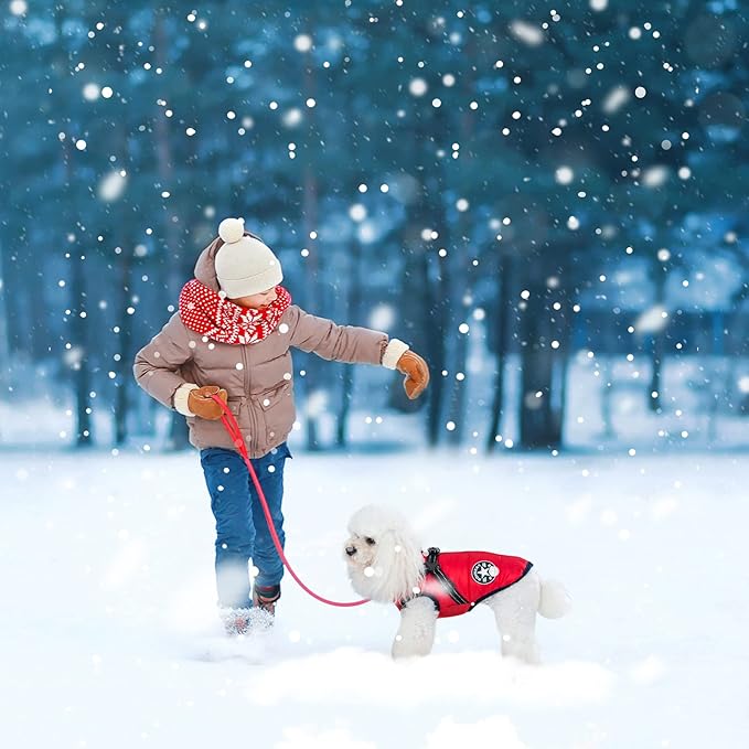Warm Winter Coat, Fashion Sports Cold Weather Jacket With Built-in Harness, Reflective & Adjustable Comfortable Pet Vest, Waterproof Windproof Apparel for Small Dogs (Red)