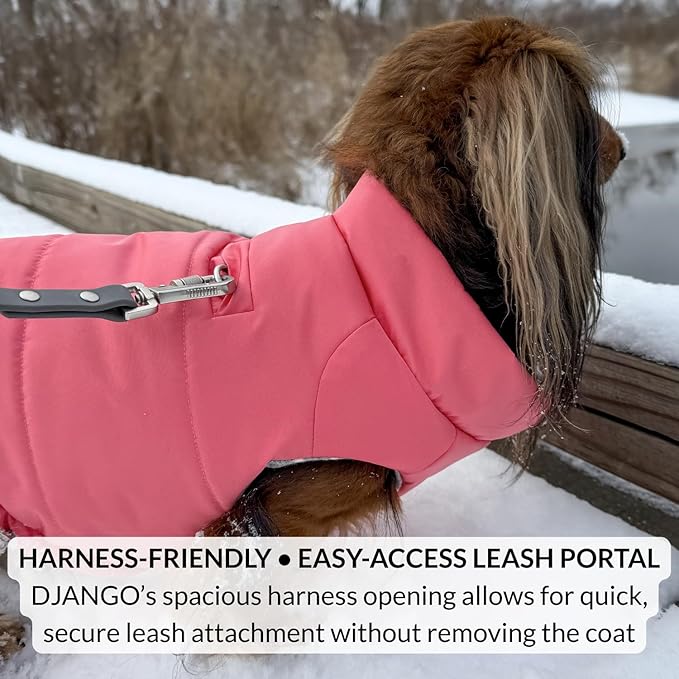 DJANGO Puffer Dog Coat – Warm Winter Dog Jacket & Water-Repellent Insulated Puffer Vest with Striped Lining, Harness Hole, Adjustable Fit for Small & Medium Dogs, Dachshunds – Sea Foam Green, Small