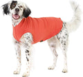 Goldpaw Stretchy Fleece Jacket for Small Dogs - Super Soft, Warm Dog Sweater - Pet Sweater Vest for Fall and Winter - Canine Clothes Made in The USA - Machine Washable - Paprika - Size 12