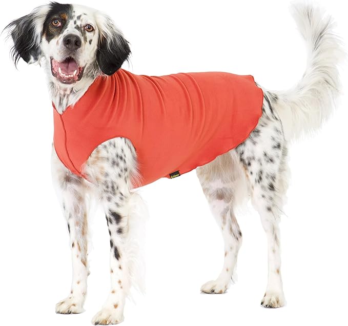 Goldpaw Stretchy Fleece Jacket for Small Dogs - Super Soft, Warm Dog Sweater - Pet Sweater Vest for Fall and Winter - Canine Clothes Made in The USA - Machine Washable - Paprika - Size 12