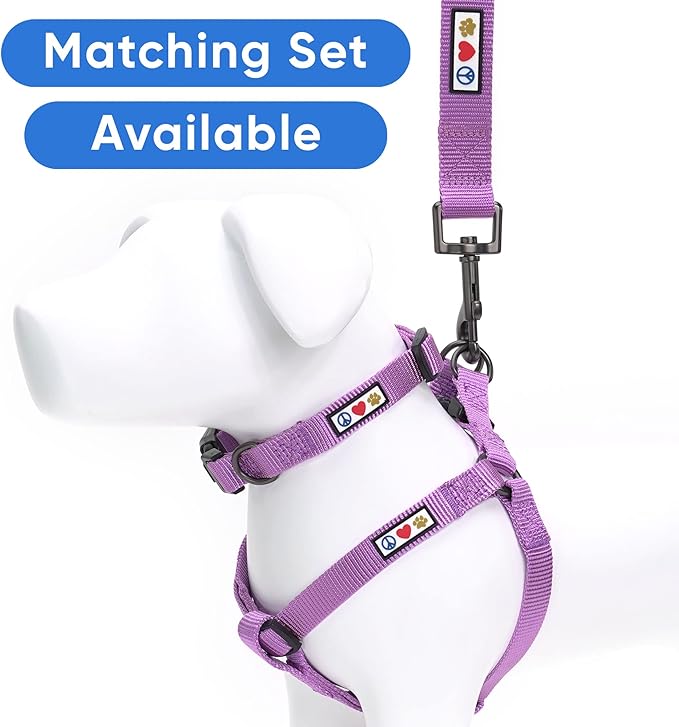 Pawtitas 6 FT Solid Color Orchid Dog Leash - Comfortable Handle, Medium/Large, 6 ft