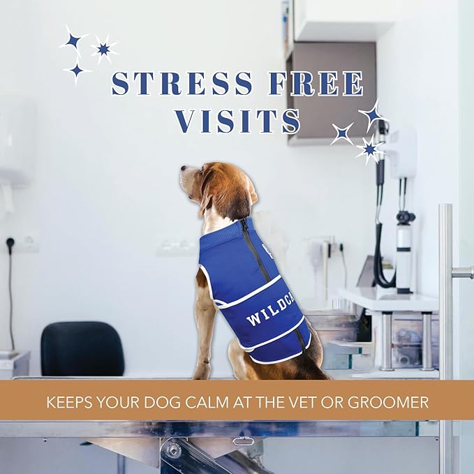NCAA Kentucky Wildcats Dog Anxiety Shirt Calming Soothing Vest for Dogs Cats with Anxiety, Fears, Fireworks, Loud Noises, Dark, Lonely Keeps Dogs Calm & Feeling Safe, Relaxing Jacket, Medium