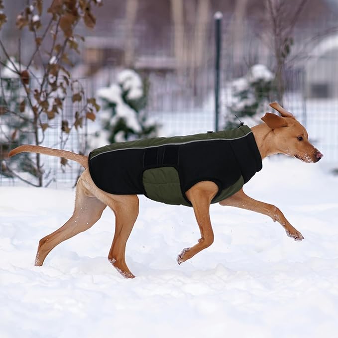 Kuoser Dog Coat for X-Small Dogs | Winter, Waterproof | Keep Tiny Pups Toasty on Chilly Walks! Ultra-Lightweight, Snug Fit - Happy Toy Breeds & No Shivering, Green XS