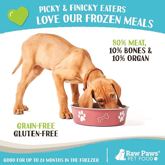 Raw Paws Signature Blend Pet Food for Dogs & Cats - Beef Recipe, 1-lb Rolls (20 Pack) - Fresh Pet Food Made in USA, Grass-Fed Beef, Natural Dog Food Rolls, Raw Frozen Dog Food & Cat Food
