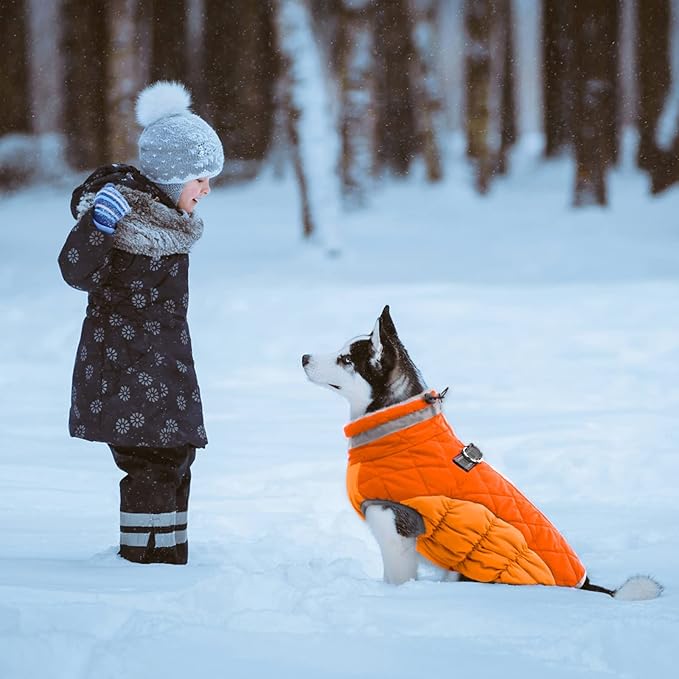Lelepet Dog Coat Warm Dog Winter Coat Waterproof Dogs Jacket with Harness Built in Reflective Pet Fleece Vest Zip-Up Cold Weather Coats for Medium Dogs Turtleneck & Windproof Coats Blaze Orange M
