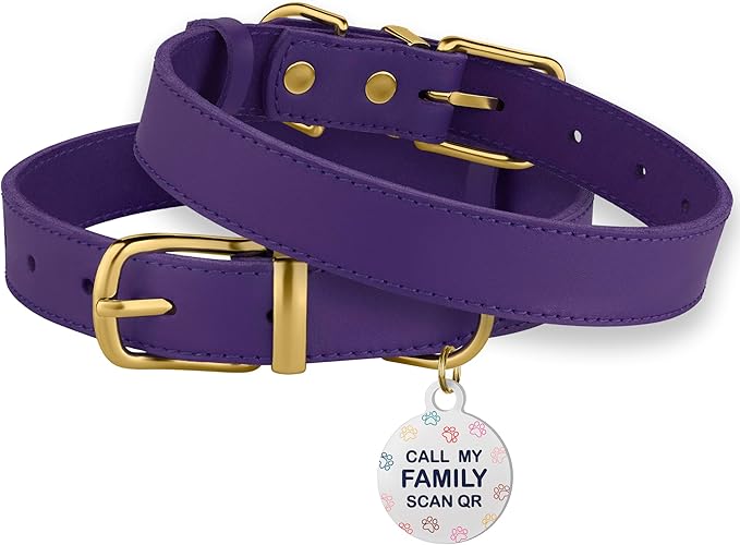 BRONZEDOG Leather Dog Collar with QR ID Tag Basic Pet Collars for Small Mini Dogs Cats Puppies (7-9 Inch (Pack of 1), Purple & Gold Buckle)