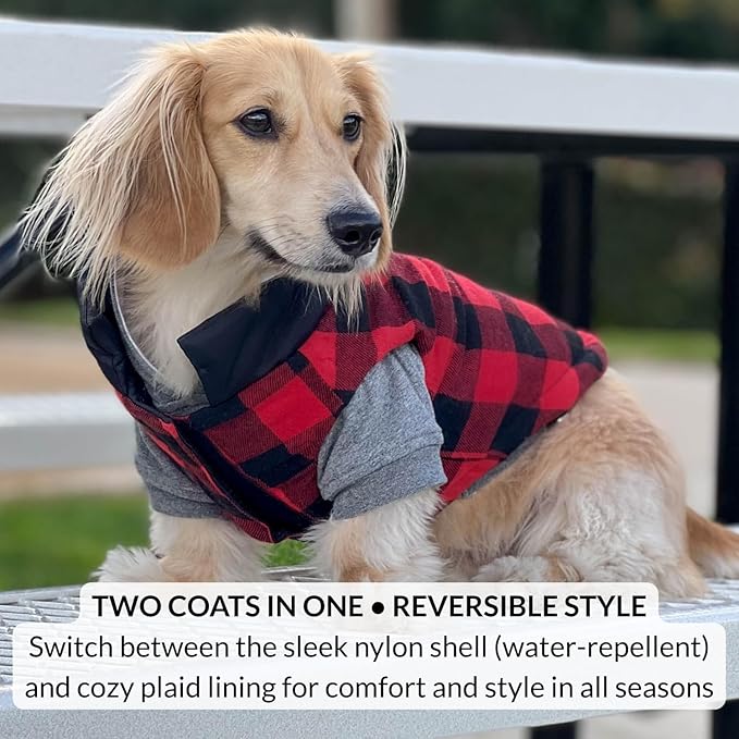 DJANGO Reversible Puffer Dog Coat – Warm Winter Dog Jacket & Water-Repellent Insulated Dog Coat with Harness Hole, Windproof, Adjustable Fit Vest for Small & Medium Dogs, Dachshunds – Black, Large