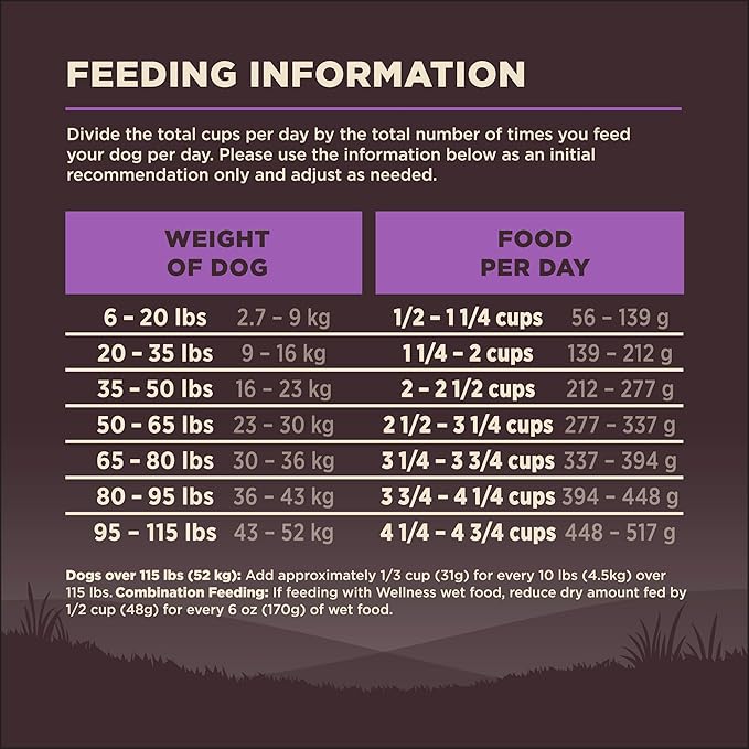 Wellness CORE Grain-Free Senior Dry Dog Food, Made in USA with Natural Ingredients, No Meat by-Product, Fillers, Artificial Flavors, or Preservatives (12-Pound Bag, Turkey)