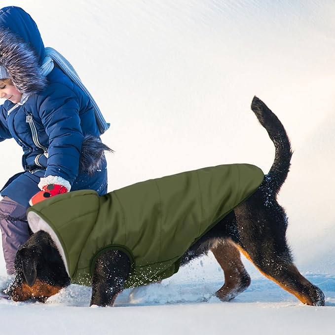 Fleece Hoodie, Windproof Waterproof Coat, Winter Warm Jacket, Cold Weather Pet Apparel Clothes Vest for Small Medium Large Dogs (M, Green)