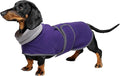 Geyecete Dachshund Sweaters for Dogs Jacket,Dachshund Coat Perfect Dog Winter Coat with Padded Fleece Lining,high Collar,Dog Snowsuit-Purple-M