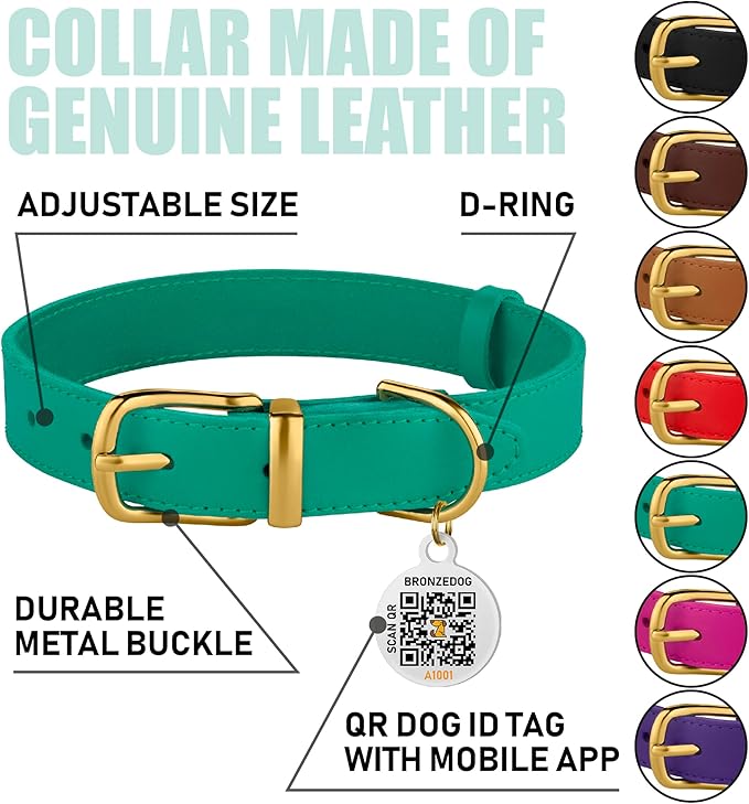 BRONZEDOG Leather Dog Collar with QR ID Tag Basic Pet Collars for Small Mini Dogs Cats Puppies (9-11 Inch (Pack of 1), Green & Gold Buckle)