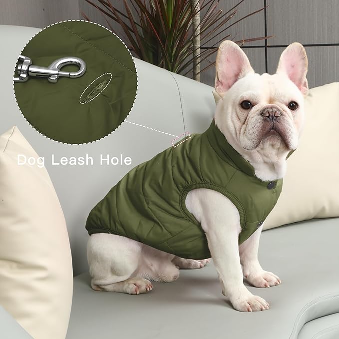 2 Layers Fleece Lined Warm Dog Jacket for Puppy Winter Cold Weather,Soft Windproof Small Dog Coat,Green M