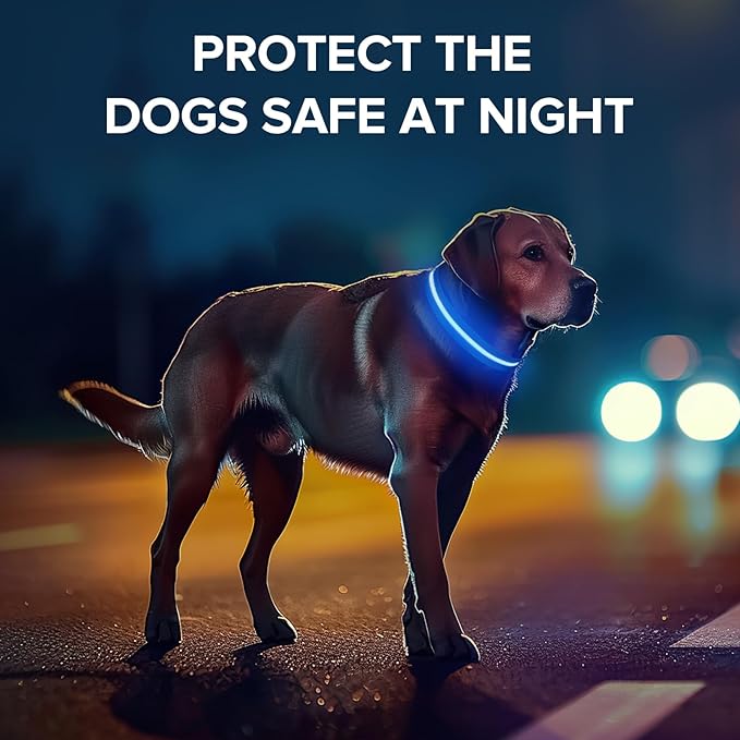Light Up Dog Collar, Adjustable USB Rechargeable Glow in Dark Dog Collar ，Waterproof Dog Collars for Large Dogs (Blue, Large)