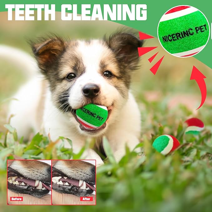 X-Small Dog Tennis Balls Dog Toys Ball 1.5" Pack of 12, Fit Ball Launchers,Christmas Dog Toys,Christmas Dog Gifts
