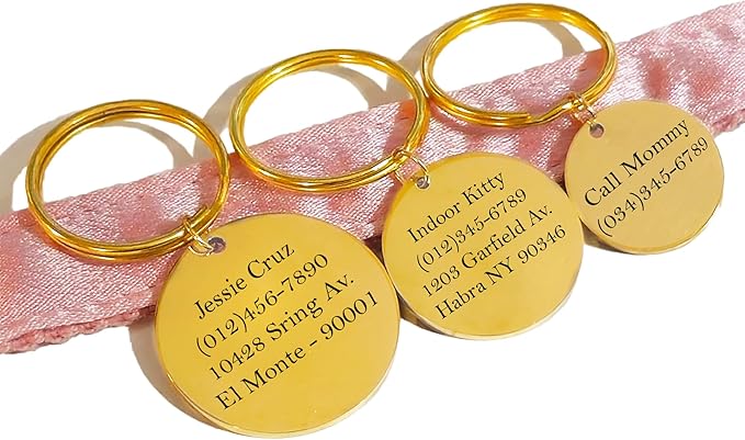 Lifetime Custom Engraved Dog ID Tag – Stainless Steel Pet Tag for Dogs & Cats, Double-Sided Personalization | Fits Collar, Harness, Leash (Golden Round)