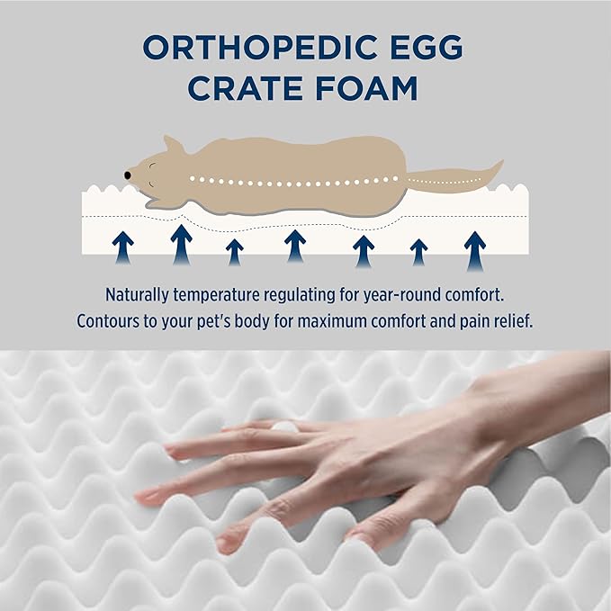 Bedsure Dog Bed for Small Dogs - Comfy Flat Puppy Beds with Removable Washable Cover, Orthopedic Egg Crate Foam Pet Mat, Suitable for Pet Up to 15 lbs