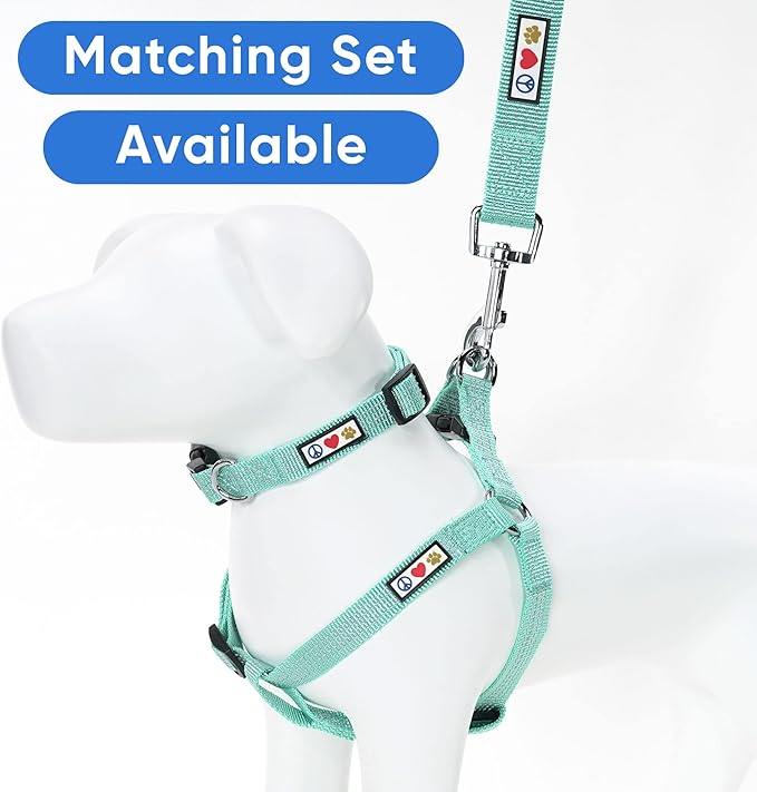 Pawtitas 6 FT Reflective Pet Puppy Leash - Comfortable Handle, Heavy Duty Training for Medium Dogs - Available in 4 FT or 6 FT