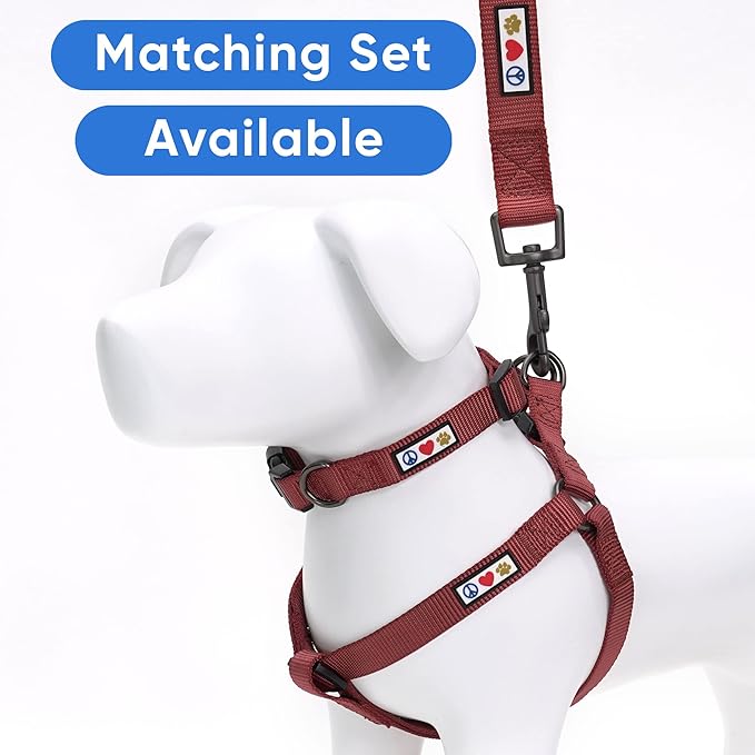 Pawtitas 6 FT Solid Color Leash for Puppy & Dog Training - Comfortable Handle - Extra Small/Small Dog Leash - Marsala