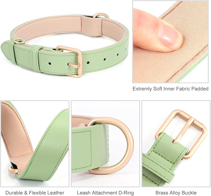WHIPPY Airtag Leather Dog Collar GPS Tracker Air Tag Puppy Collar Adjustable Soft Leather Padded Dog Collar with Airtag Holder Case for Small Medium Large Dog Pet Backpack,Green