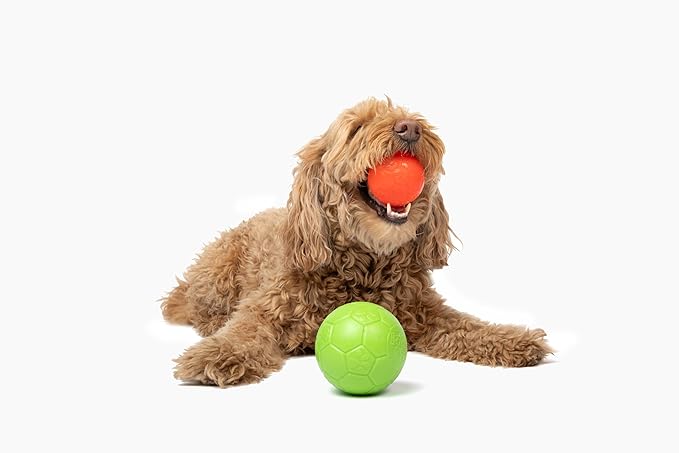 Jolly Pets Mini Jolly Soccer Ball; Floating-Bouncing Dog Toy; 3" Orange (Pack of 2)