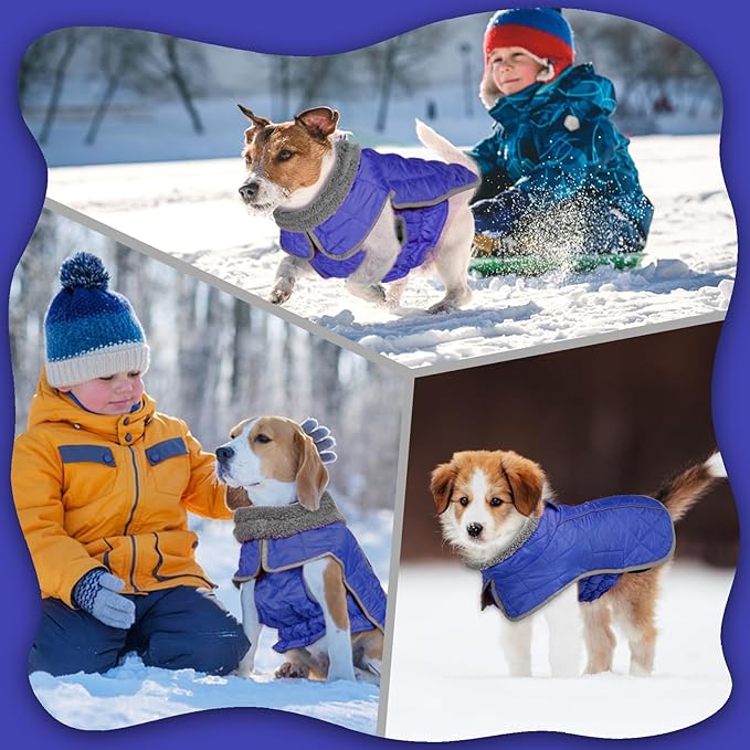 Fragralley Dog Winter Coat, Waterproof Windproof Reflective Fleece Jacket with Harness Hole, Warm Snow Vest for Small Medium Large Dogs, Ideal Gifts