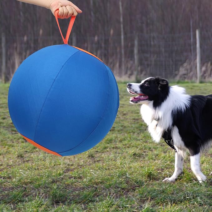 Dog Herding Ball for Dogs & Puppies, Toy Balls for Cattle, Australian Shepherd, Non-Chewing Activities, Large Dog Toy | Oxford Fabric Cover, Pump, with Patch Repair Kit (26 inch)