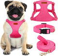 No Pull Dog Harness- Lightweight, Soft, Adjustable Small Harness Collar and Leash Set, Suitable for Cats Puppy Small and Medium-Sized Dog Outdoor Training and Running (hotpink, M)