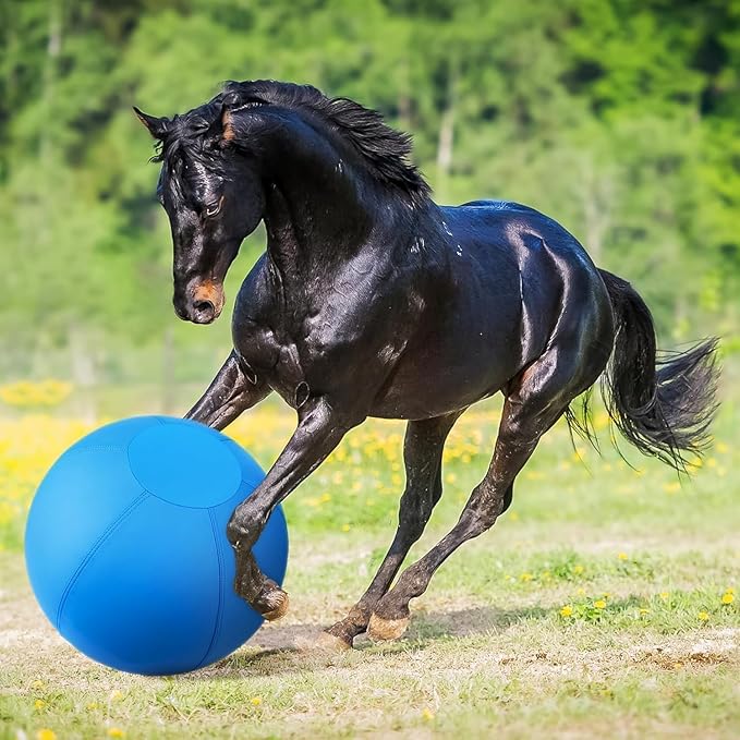 Herding Ball for Dogs and Horses - 25" Jolly Ball for Dogs, Agility Training Equipment, Herding for Australian/German Shepherd, Improved Bite-Resistant, Reinforced Sewing Dog Toys - Blue&Yellow （New）