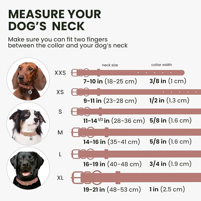 BronzeDog Rolled Leather Dog Collar with QR ID Tag, Adjustable Soft Round Collars for Small Medium Large Dogs Puppy (16" - 19" Neck Size, Blush)