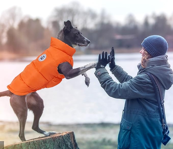 Kuoser Dog Coat Padded Vest, Windproof Dog Jacket, XL Warm Dogs Cold Weather Coats for Large Dogs, Lightweight Doggie Winter Clothes Outwear Pet Snowsuit Costume for Indoor Outdoor, Orange XL