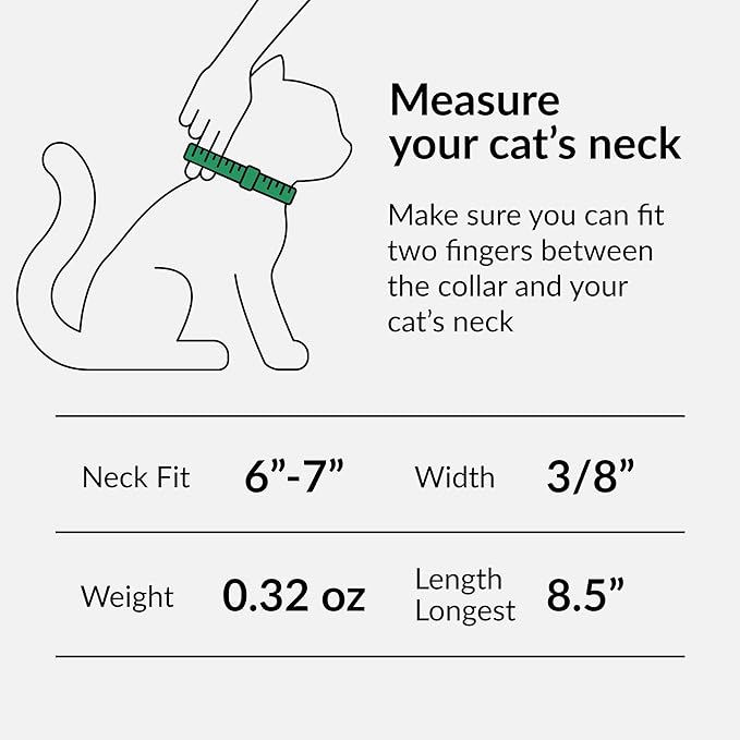 CollarDirect Leather Cat Collar, Cat Safety Collar with Elastic Strap, Kitten Collar for Cat with Bell Black Blue Red Orange Lime Green (Neck Fit 6"-7", Orange)