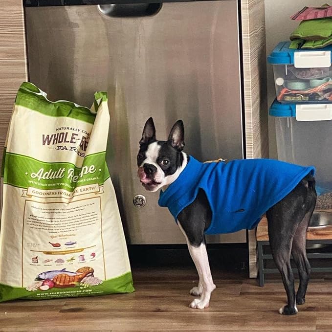 Gooby Fleece Vest Dog Sweater - Deep Blue, X-Large - Warm Pullover Fleece Dog Jacket with O-Ring Leash for Small to Medium Dogs